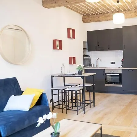 Apartment Studio Cosy Vieil - Renove - Climatise